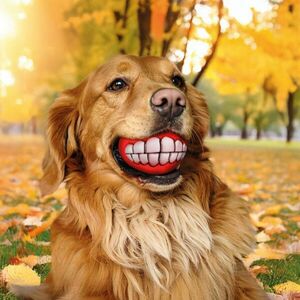 Rágó játék kutyáknak kép