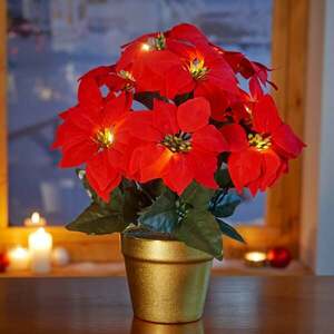 LED karácsonyi csillag cserepes kép