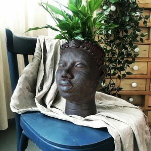 Afrikai virágcserép kép