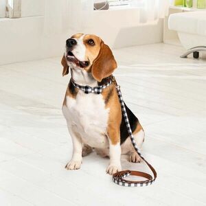 Karo kutya nyakörv és póráz szett kép