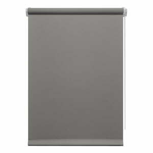 Sötétszürke roló 97x150 cm Mini Relax – Gardinia kép