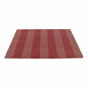 Kókuszrost lábtörlő 40x60 cm Pink Stripe – Artsy Doormats kép