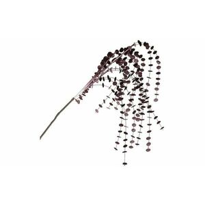 LEONARDO CALMO eukaliptusz ág 130cm, rózsaszín kép