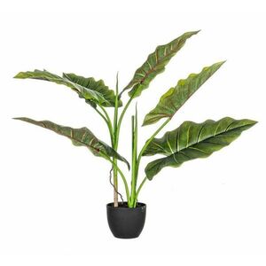 DIEFFENBACHIA zöld művirág 78cm kép