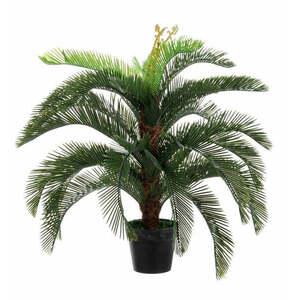PALMA CYCAS zöld műanyag (pe) művirág kép