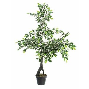 VARIEGATED FICUS zöld műanyag (pe) művirág kép