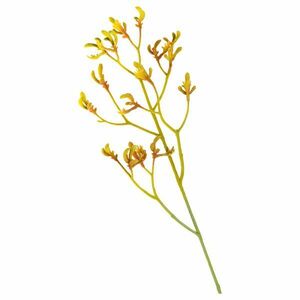 LEONARDO CAMMINATA kengurumancs 75cm srága kép