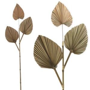 KURMA szárított pálmalevél dekoráció kép