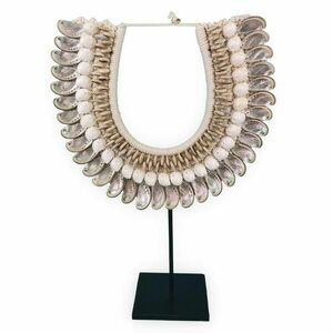 Tengeri kagyló kép