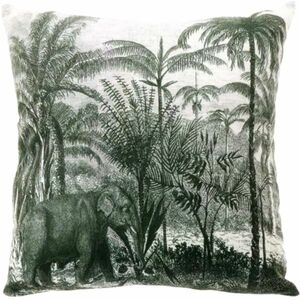 Dekoratív párna EXOTIC 45x45 cm, zöld kép