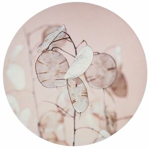 Fali dekoráció JUDAS MEDAL Ø 58 cm kép