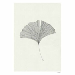 Poszter 50x70 cm Ginkgo Leaf – Ana Frois – The Poster Club kép