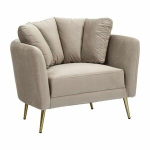 Szürkésbarna bársony fotel Kiev – Mauro Ferretti kép