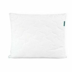 Wendre Aloe Soft párna, 70 x 90 cm kép