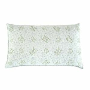 B.E.S. Petrovice Visco luxury Aloe Vera párna, 45 x 75 cm kép