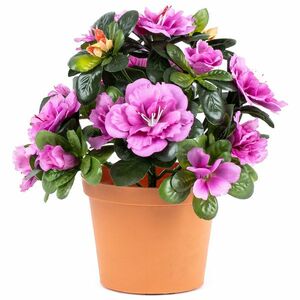 Mű Azálea virágcserépbenlila, 21 x 10 x 10 cm kép