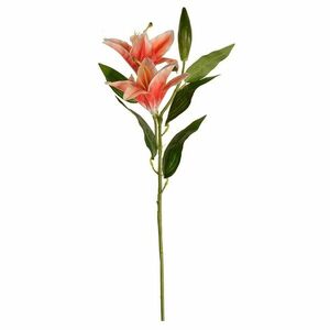 Művirág Liliom nagyvirágú narancssárga, két virágés egy bimbó, magasság 84 cm kép