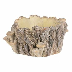 Beton burkolat - tusk with mushrooms, 18 x 14 x 9cm, 18 cm kép