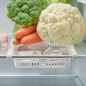 Orion műanyag hűtőrendező fiók, 28, 5 x 16, 5 x 8 cm kép