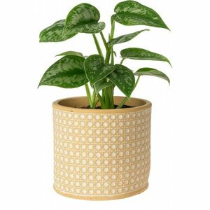 Landon virágtartó, 14 x 13 cm, beton kép