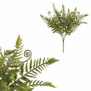 Fiatal páfrány szál, 40 cm kép