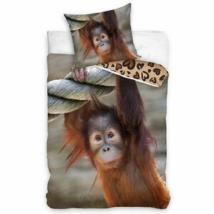 Pamut ágynemét Orangutan majom, 140 x 200 cm, 70 x90 cm kép