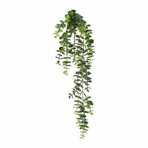 Művirág Eucalyptus függő, 63 cm, zöld kép