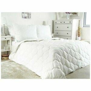 B.E.S. Petrovice Bella Optimal Aloe vera paplan és párna szett, 140 x 200 cm, 70 x 90 cm kép