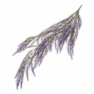 Műlevendula ág, magasság 82 cm kép