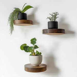 Raf polcok szett, 3 db kép