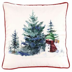 Pillow Christmas motif velvet, 45 x 45 cm kép