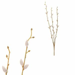 Barka műág, 15 x 20 x 54 cm kép