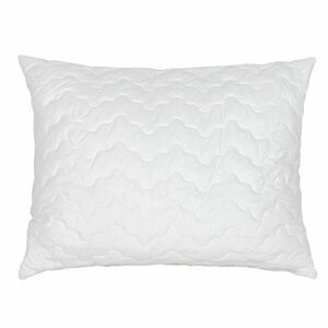 Bellatex Kamilka Lux párna cipzárral 900 g, 70 x 90 cm kép