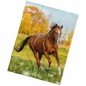 BedTex Mikropoliészta takaró, mezei róka, 150 x200 cm kép