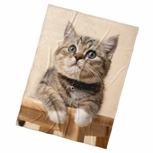 BedTex Gyerek takaró Cica Csengettyű, 150 x 200 cm kép