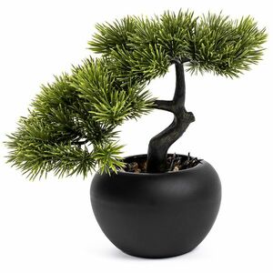 Mű Bonsai fenyő, magassága 25 cm kép
