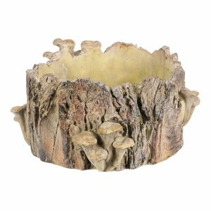 Beton burkolat - tusk with mushrooms, 32 x 29 x 16cm, 32 cm kép