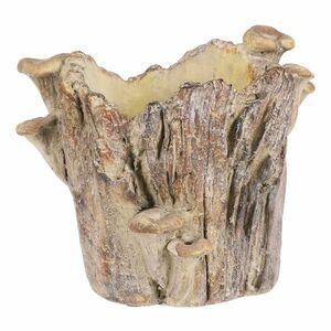 Beton burkolat - tusk with mushrooms, 19 x 17 x 16cm, 19 cm kép