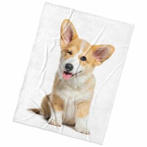 BedTex Mikropoliészta takaró, Kutyusok, 150 x 200cm kép