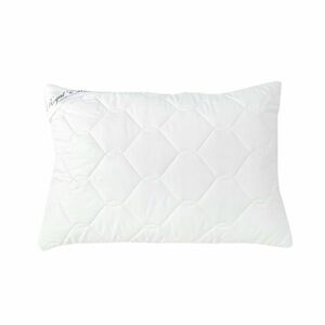 Stanex Royal párna, 70 x 90 cm kép