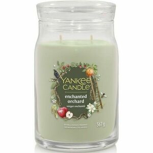 Yankee Candle Signature Enchanted Orchardillatgyertya, nagy, 567 g, L kép