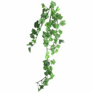 Mű Mini Grape, 50 cm kép