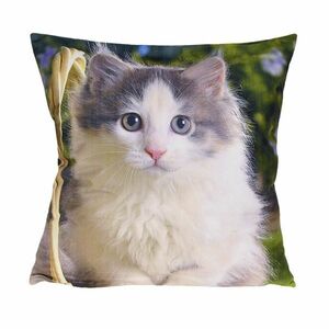 Cica kispárnahuzat, 40 x 40 cm kép