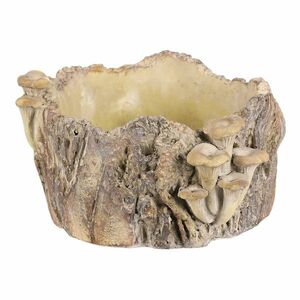 Beton burkolat - tusk with mushrooms, 26 x 24 x 14cm, 26 cm kép