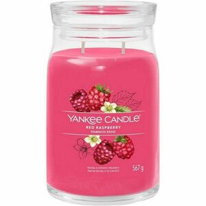 Yankee Candle Illatos gyertya, nagy Signature Red Raspberry, 567 g, L kép