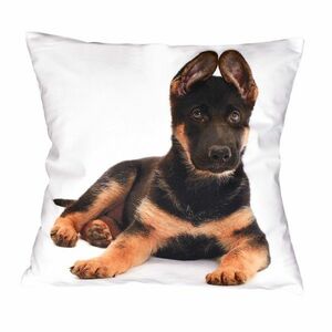 Rexík párnahuzat , 40 x 40 cm kép