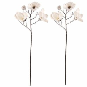 Virágcsokor Magnolia, 2 db, fehér, hóval borítva kép