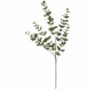 Eukaliptusz - mű ág, nagy levelek, 100 cm, zöld kép