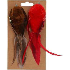 Madár csipeszen, 2 db-os szett, barna / piros, 17 x 5, 5 x 4, 5 cm kép