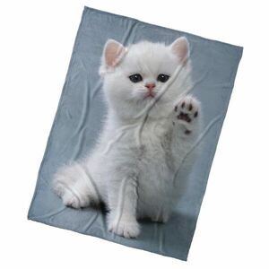 BedTex Gyermek takaró Cica Dej Pac, 150 x 200 cm kép